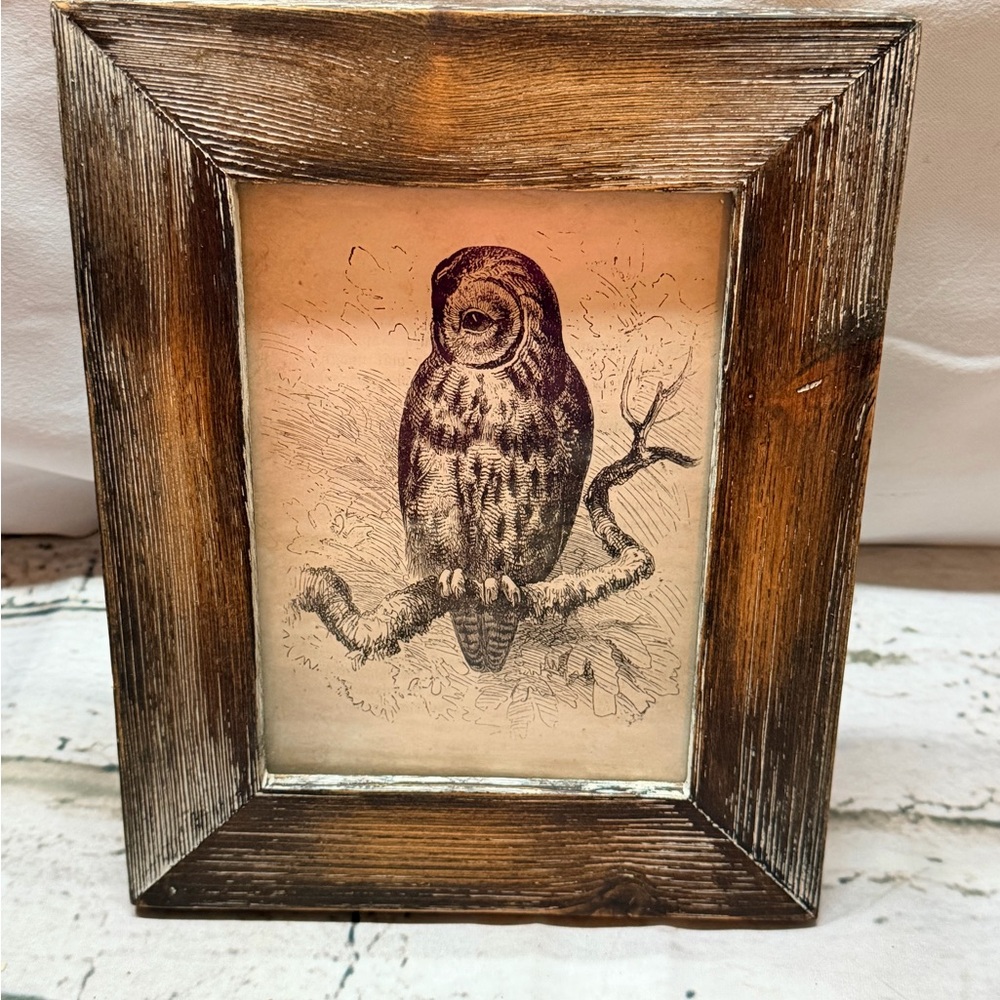Rustic, distressed, reclaimed-style wooden Owl Framed Art ‎ 5x7”